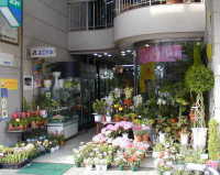 横須賀花店