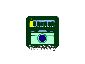 No Printing